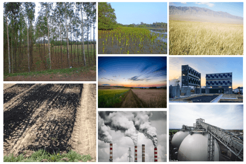 Carbon removal projects