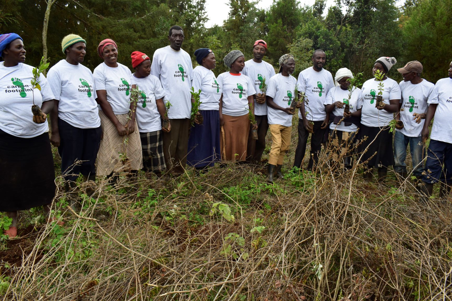 Tree planting programme in Kenya supported by Carbon Footprint Ltd
