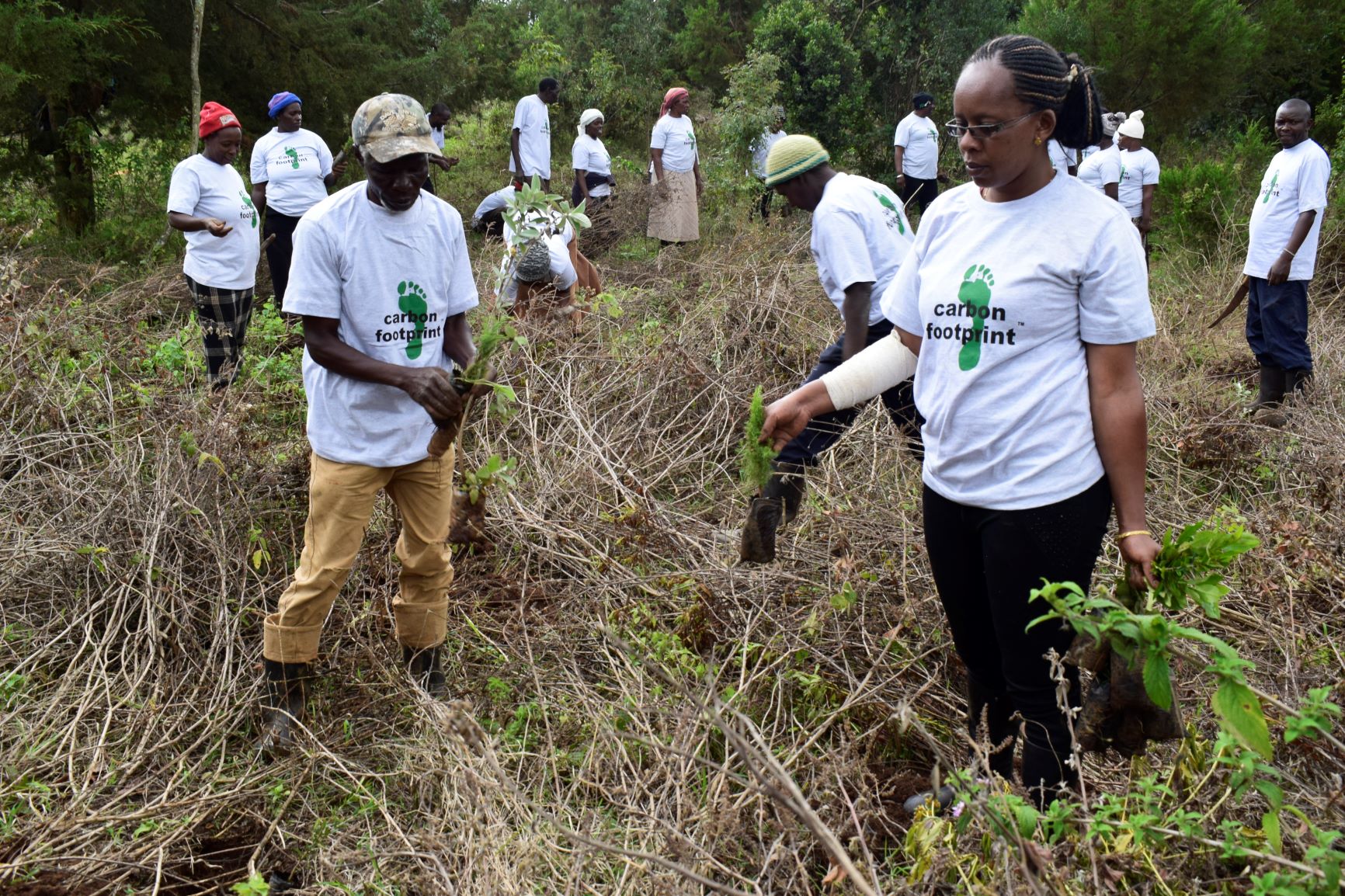 Community tree planting activities in Kenya